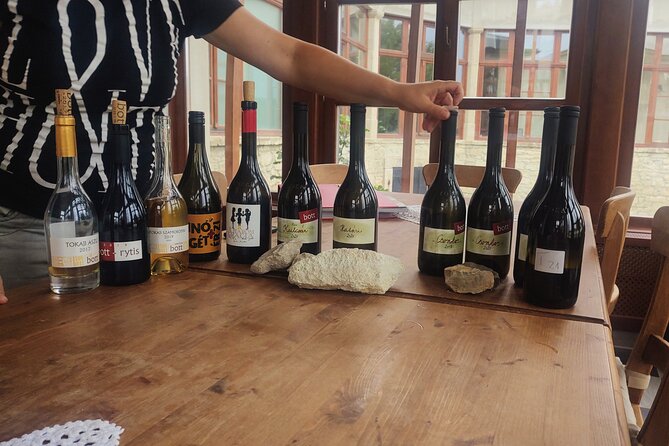 Wine Tasting Tour in Tokaj Wine Region Slovakia. With transport - Malá Trňa observation tower: barrel views and a fast start to Tokaj