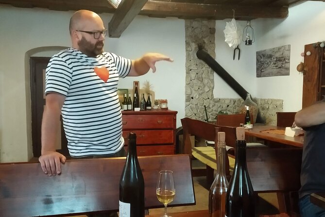 Wine Tasting Tour in Tokaj Wine Region Slovakia. With transport - What makes the guide matter in Tokaj (and why names like Marek come up)